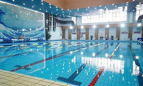 保定市大鲨鱼杯第一届室内铁人三项比赛 Logo